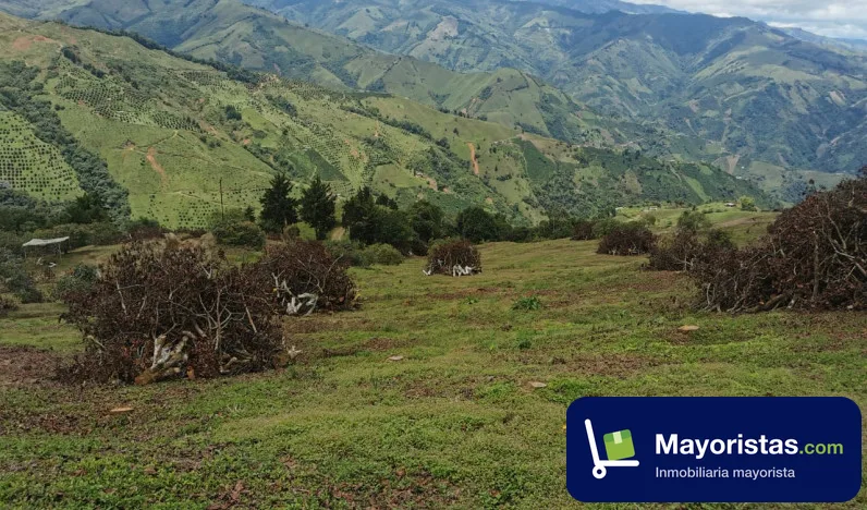 Finca ganadera de 41 ha en Pácora, Caldas