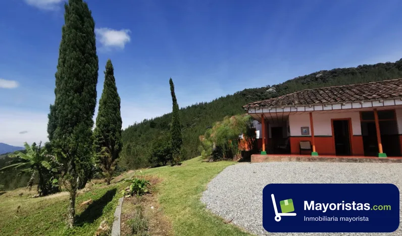 Finca ganadera de 41 ha en Pácora, Caldas — foto 9 de 10