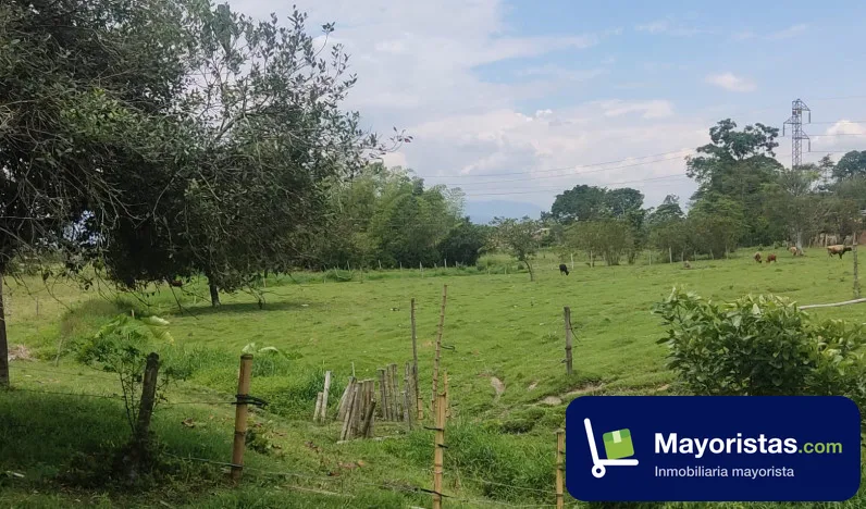 Finca ganadera de 5 ha en Pitalito, Huila — foto 9 de 9