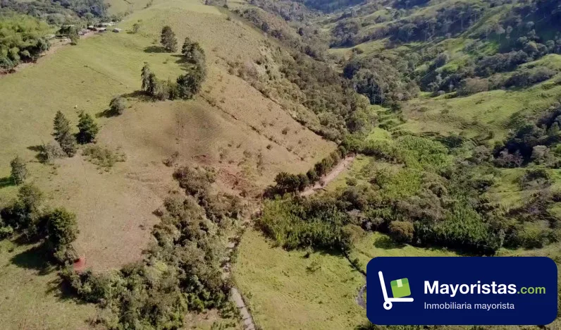 Finca ganadera de 83 ha en Frontino, Antioquia
