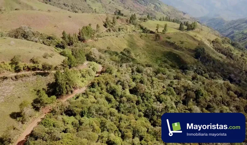 Finca ganadera de 83 ha en Frontino, Antioquia — foto 9 de 9