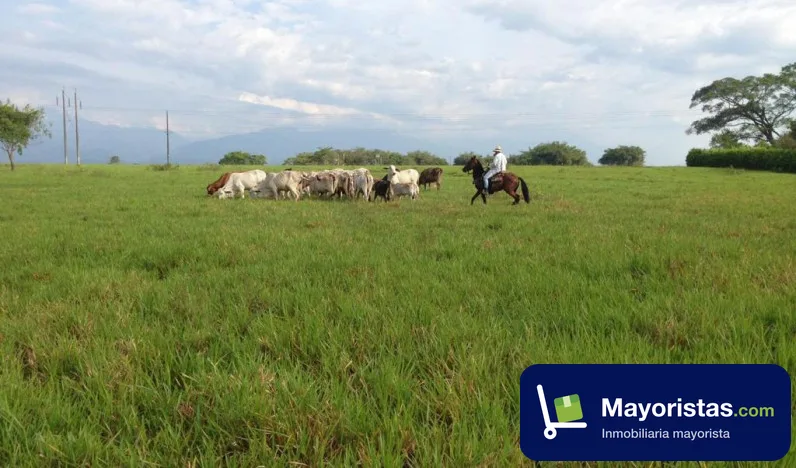 Finca ganadera de 33 ha en Villavicencio, Meta