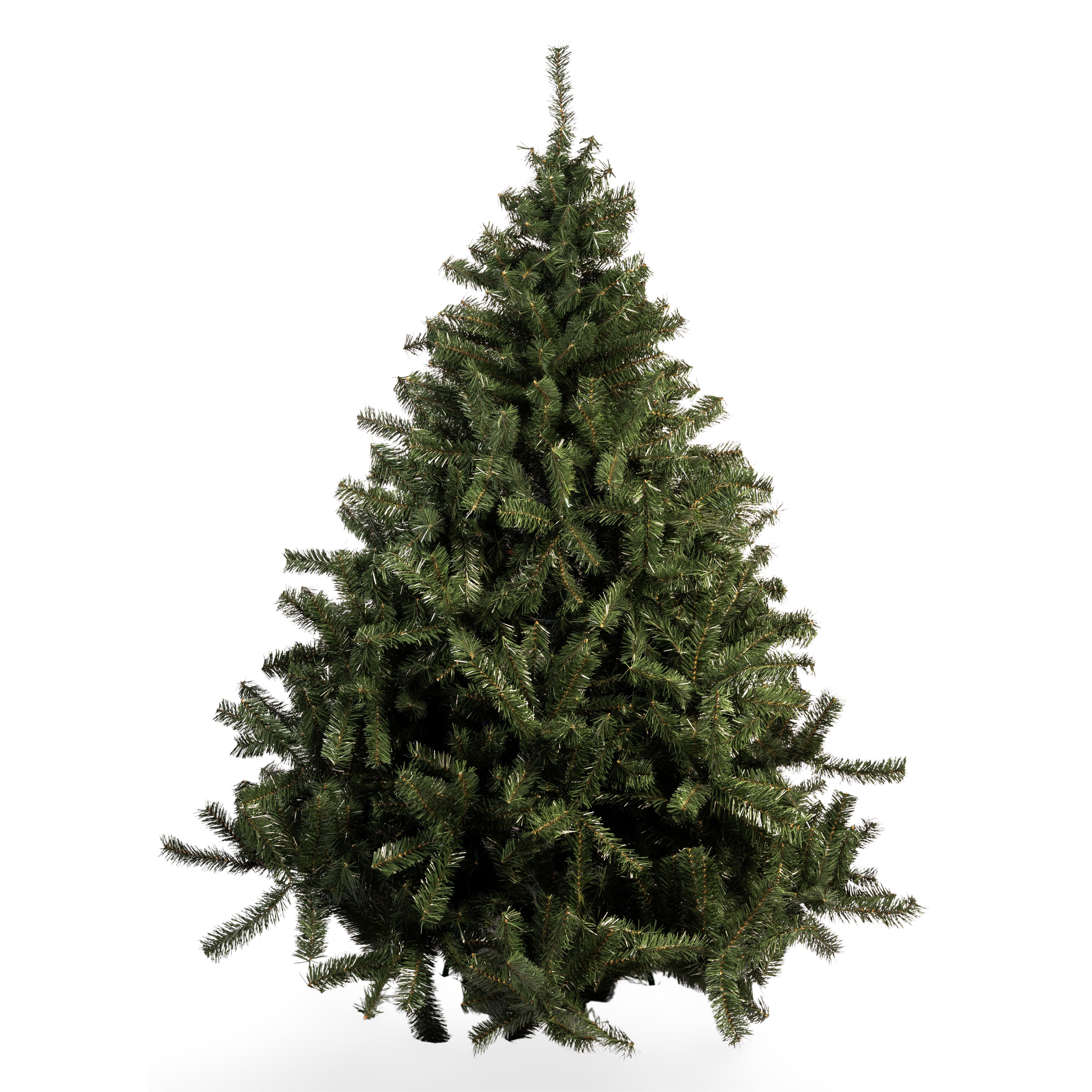 ÁRBOL IMPERIAL