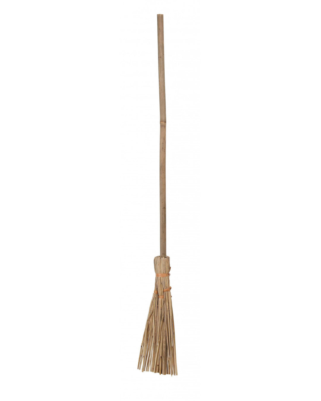 ESCOBA BRUJA 1271-2