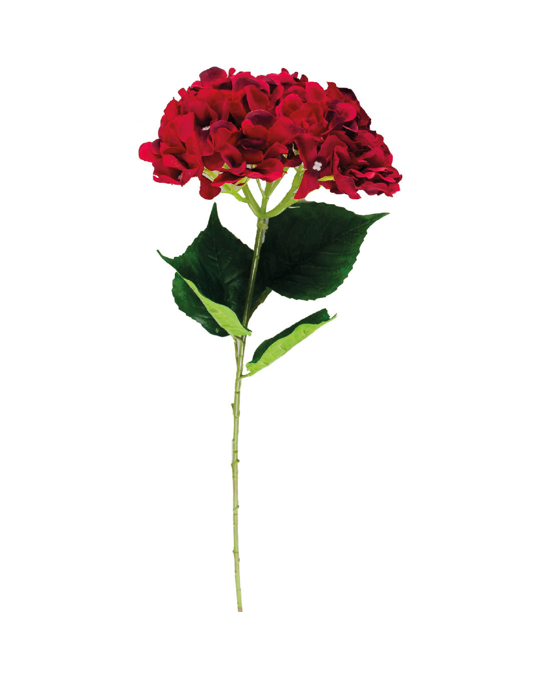 FLOR HORTENSIA