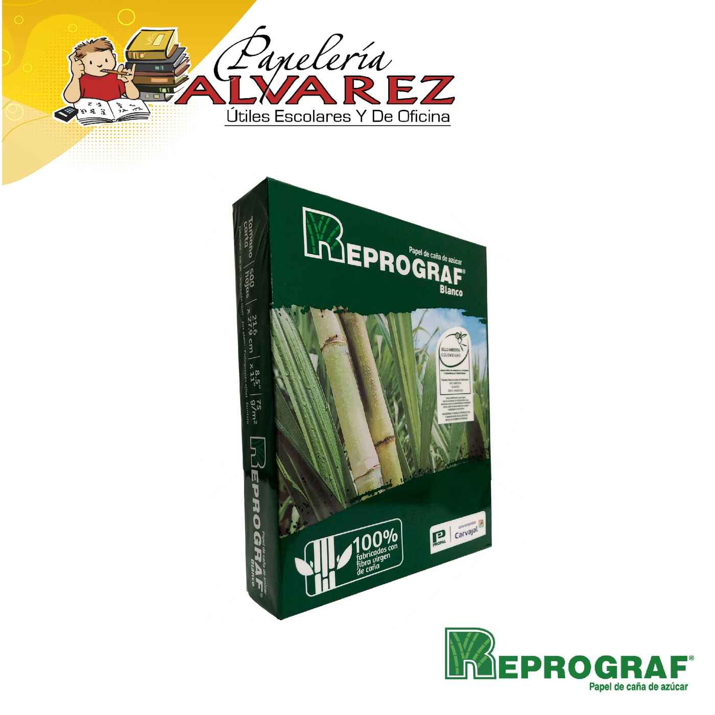 RESMA CARTA X 500 HJ - HOJA BLANCA