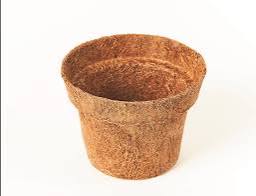 Pote Coco P12